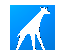 Una giraffa assai dinamica